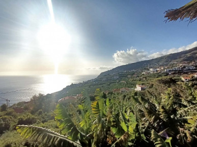 Land in Arco da Calheta, Property for sale in PP173680