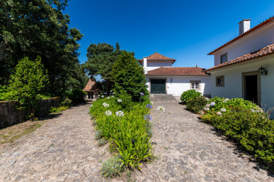 6 bedroom villa with 7300m2 of land, located 30 minutes from Porto, Property for sale in DL30673