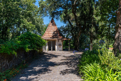 6 bedroom villa with 7300m2 of land, located 30 minutes from Porto, Property for sale in DL30673