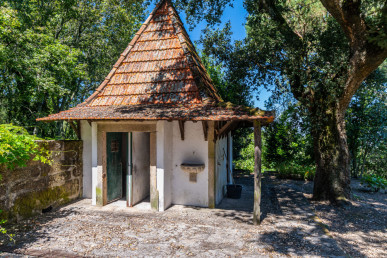 6 bedroom villa with 7300m2 of land, located 30 minutes from Porto, Property for sale in DL30673