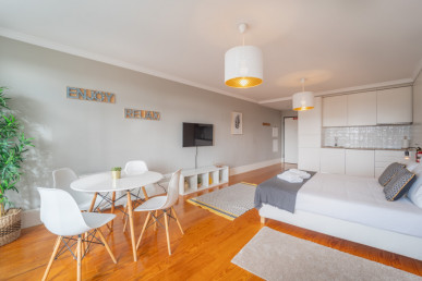 Studio apartment in the center of Porto, Property for sale in DL30432
