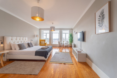 Studio apartment in the center of Porto, Property for sale in DL30432