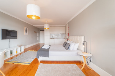 Studio apartment in the center of Porto, Property for sale in DL30432