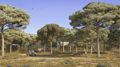 Land with approved project, Muda, Property for sale in DL31972