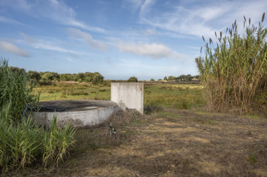 2+1 bedroom farm in Lagoa de Santo André, Santiago do Cacém, Property for sale in DL35462