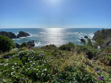 2+1 bedroom flat with sea view in a gated community, Porto Covo, Property for sale in DL32388