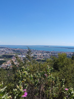 Land in Azeitão with approved project, Property for sale in DL32746