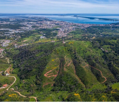 Land in Azeitão with approved project, Property for sale in DL32746