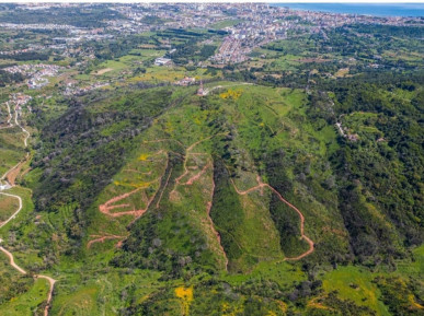 Land in Azeitão with approved project, Property for sale in DL32746