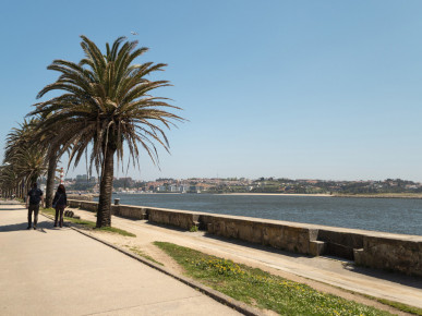 Furnished 1 bedroom flat with AL in Foz Douro, Property for sale in DL33014