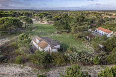 Farm with 4000m2 of plot and ruin, in Melides, Property for sale in DL35464