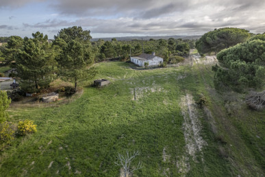 Farm with 4000m2 of plot and ruin, in Melides, Property for sale in DL35464