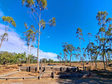 House T2 in Sobreiras Altas, Melides, Property for sale in DL33778