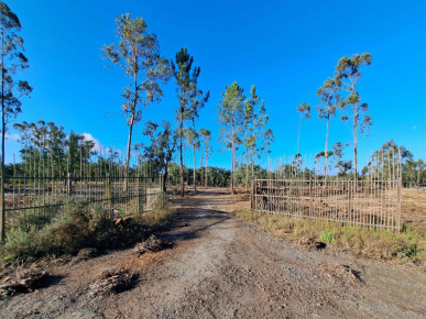 House T2 in Sobreiras Altas, Melides, Property for sale in DL33778