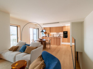 2 bedroom flat with garden, garage and storage, in downtown Porto, Property for sale in DL35344