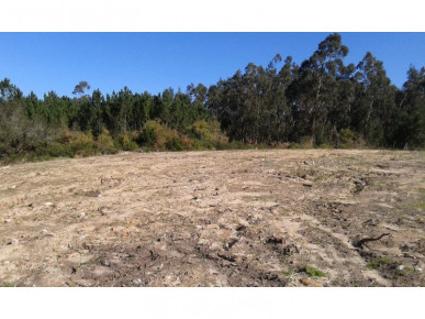 Land in Foz do Arelho with approved allotment, Property for sale in BL779