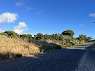 Building land with 2,220 m² very close to the beach of Foz do Arelho and Caldas da Rainha, Property for sale in BL1281