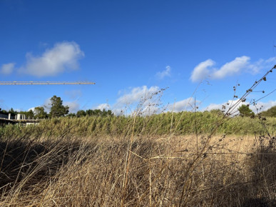 Building land with 2,220 m² very close to the beach of Foz do Arelho and Caldas da Rainha, Property for sale in BL1281