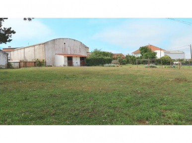 Land with 13 435m2 with possibility of construction, Property for sale in Óbidos, Leiria, BL1309