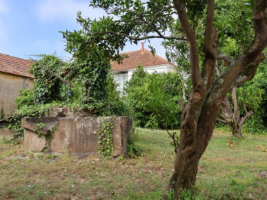 Land with 13 435m2 with possibility of construction, Property for sale in Óbidos, Leiria, BL1309