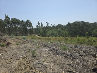 Land with Valid PIP and Unobstructed View - Foz do Arelho, Property for sale in BL1283