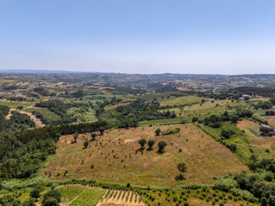 Land with ruin in Óbidos, Property for sale in Óbidos, Leiria, BL1263