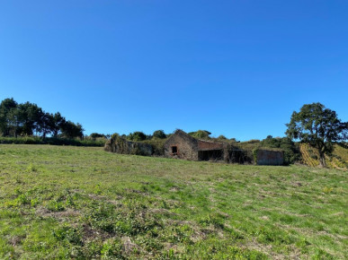 Land with ruin in Óbidos, Property for sale in Óbidos, Leiria, BL1263