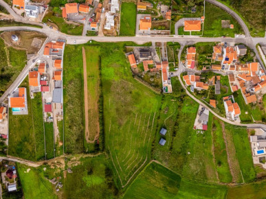 Land with sea view in Serra da Pescaria, Property for sale in Nazaré, Nazaré, BL1269