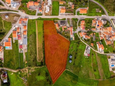 Land with sea view in Serra da Pescaria, Property for sale in Nazaré, Nazaré, BL1269