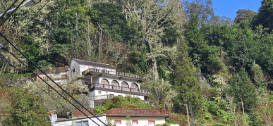 Levada Property Madeira, Property for sale in PP176220