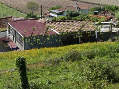 9 bedroom Property in Barcelos, Property for sale in JL-47452