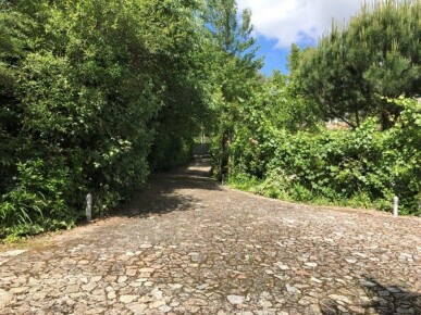 7 bedroom Property in Fafe, Property for sale in JL-49135