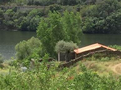 8 bedroom Property in Torre de Moncorvo, Property for sale in JL-42060