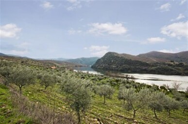 8 bedroom Property in Torre de Moncorvo, Property for sale in JL-42060