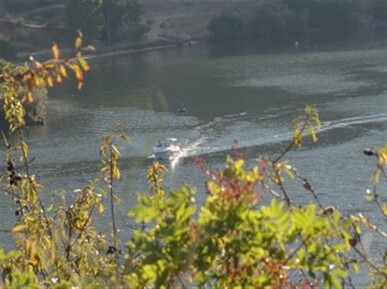 8 bedroom Property in Torre de Moncorvo, Property for sale in JL-42060