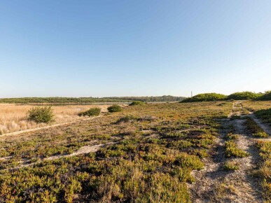 Land for Sale in Sines, Property for sale in JL-69145