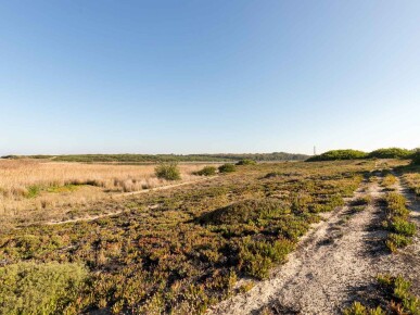 Land for Sale in Sines, Property for sale in JL-69145