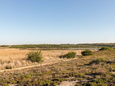 Land for Sale in Sines, Property for sale in JL-69145