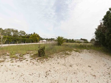 Land for Sale in Alcácer do Sal, Property for sale in JL-71070