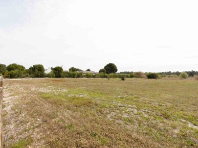 Land for Sale in Alcácer do Sal, Property for sale in JL-71070