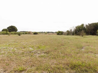 Land for Sale in Alcácer do Sal, Property for sale in JL-71070