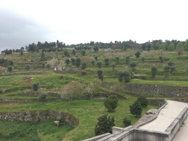 5 bedroom Property in Cinfães, Property for sale in JL-71300