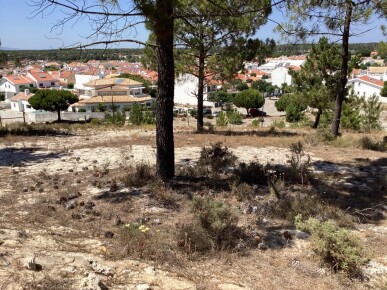 Land for Sale in Grândola, Property for sale in JL-75237