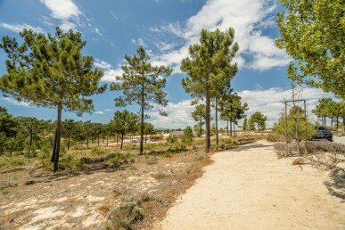 Land for Sale in Grândola, Property for sale in JL-81008