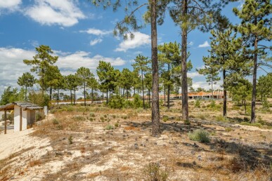 Land for Sale in Grândola, Property for sale in JL-81008