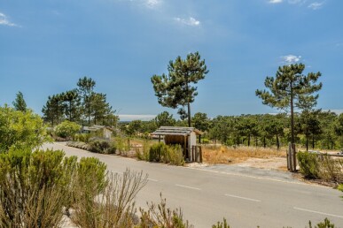 Land for Sale in Grândola, Property for sale in JL-81008