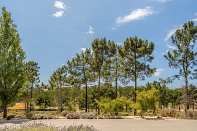 Land for Sale in Grândola, Property for sale in JL-81008