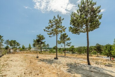 Land for Sale in Grândola, Property for sale in JL-81010