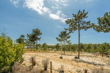 Land for Sale in Grândola, Property for sale in JL-81010