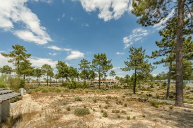 Land for Sale in Grândola, Property for sale in JL-81010